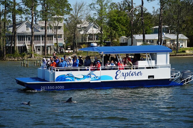 2-Hour Dolphin and Nature Eco Tour from Orange Beach - Key highlights you’ll actually care about