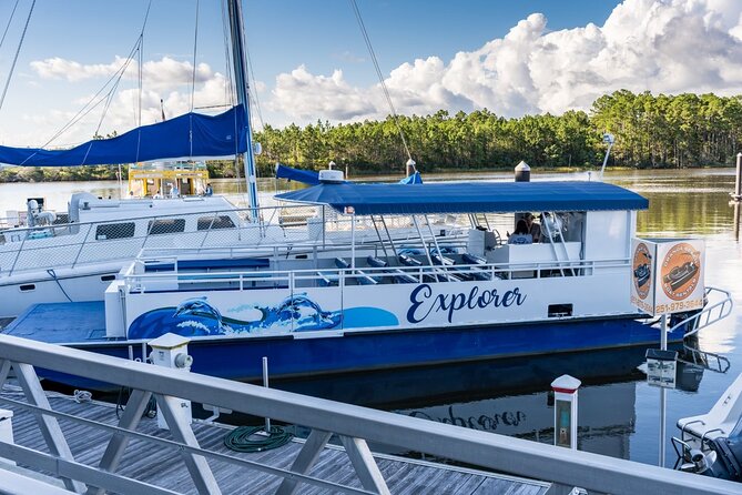 2-Hour Dolphin and Nature Eco Tour from Orange Beach - Orange Beach back-bay cruising: why shallow water matters