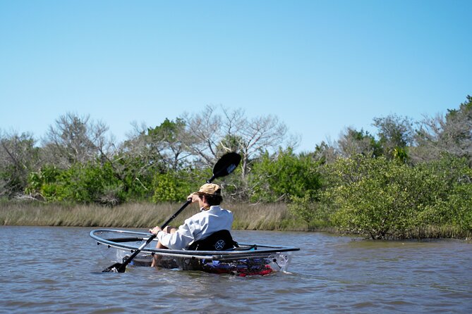 2-Hour Glass Bottom Guided Eco Tour in Flagler County-Small-group - Clear kayaks in the mangrove backwaters: what you’re really paying for
