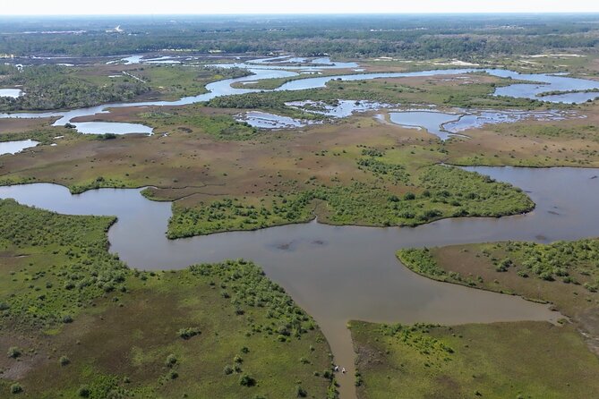 2-Hour Glass Bottom Guided Eco Tour in Flagler County-Small-group - What’s included, what you should bring, and how to dress for comfort
