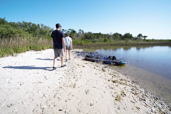 2-Hour Glass Bottom Guided Eco Tour in Flagler County-Small-group - Who this eco tour fits best (and who might skip it)