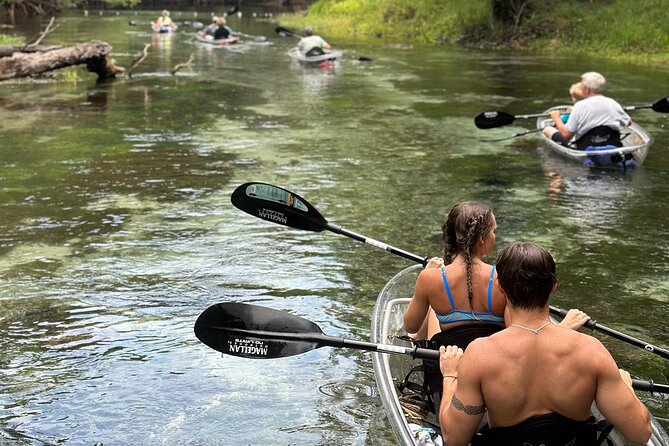 2 Hour Glass Bottom Guided Kayak Eco Tour in Gilchrist Blue - Clear-Bottom Kayaking on the Santa Fe River and Gilchrist Blue Springs