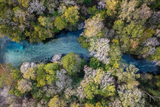 2 Hour Glass Bottom Guided Kayak Eco Tour in Gilchrist Blue - Blue Springs Park Finale: The 0.25-Mile Paddle, 20-Foot Swim Hole, and Aric the Giant