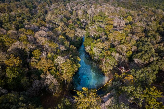 2 Hour Glass Bottom Guided Kayak Eco Tour in Gilchrist Blue - Who Should Book This Clear Kayak Eco Tour (and Who Might Skip It)