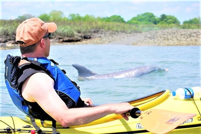 2-Hour Guided Kayak Eco Tour in Charleston - Key highlights worth caring about