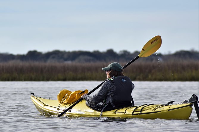 2-Hour Guided Kayak Eco Tour in Charleston - Two Hours on Tidal Creeks Behind Folly Beach: What the Route Really Means