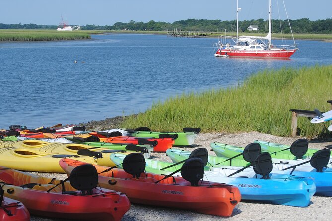 2-Hour Guided Kayak Eco Tour in Charleston - What’s Included (and What You Should Bring Anyway)