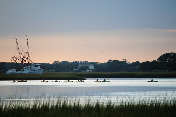 2-Hour Guided Kayak Eco Tour in Charleston - Price and Value: Why Guided Marsh Kayaking Pays Off