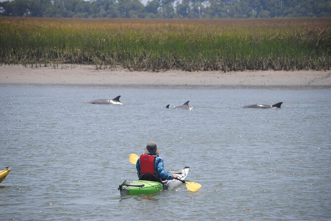 2-Hour Guided Kayak Eco Tour in Charleston - Who Should Book This Kayak Eco Tour—and Who Should Think Twice