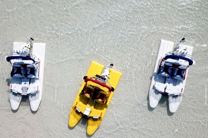 2 Hour Key West Mini Catamaran Eco Tour - Quick hits before you go