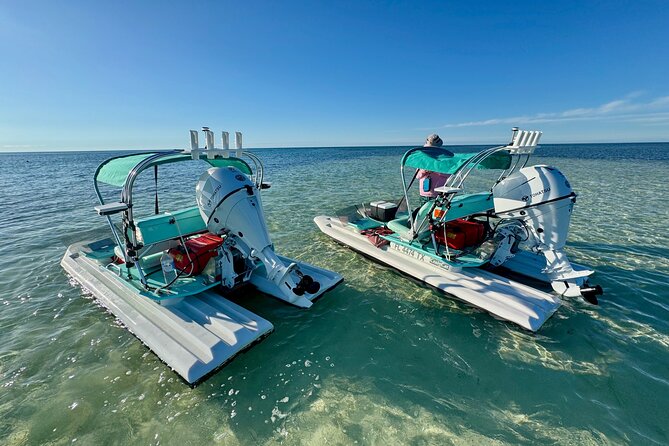 2 Hour Key West Mini Catamaran Eco Tour - Wildlife encounters: fun talk, plus real seasonal odds