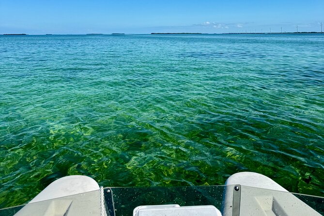 2 Hour Key West Mini Catamaran Eco Tour - Guide energy is the difference between good and great
