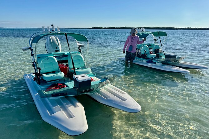 2 Hour Key West Mini Catamaran Eco Tour - Mangrove channels: the calm start and why it matters