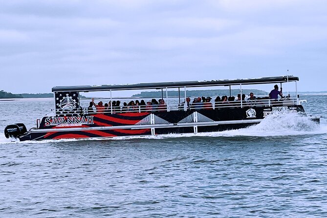 2 Hours Dolphin Eco Tour - Wildlife beyond dolphins: birds, otters, alligators, and the stuff you won’t plan for