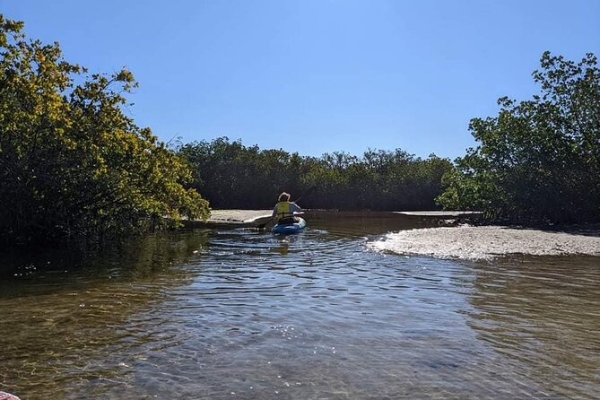 2 Hours Kayak Eco Tour in Tarpon Springs - Key things to know before you paddle