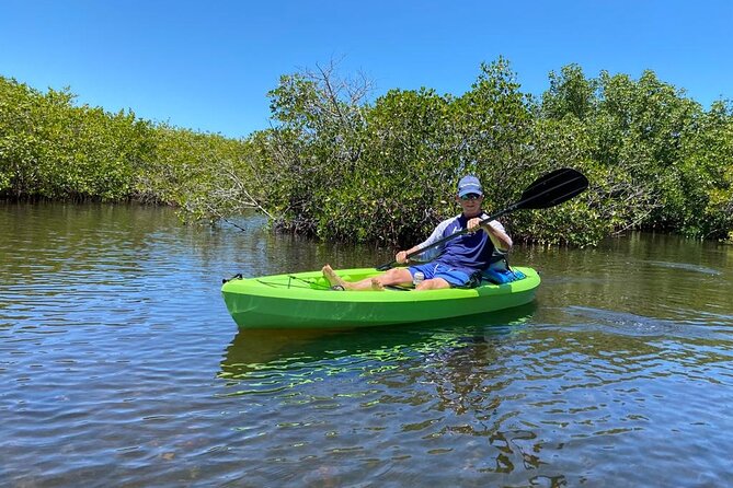 2 Hours Kayak Eco Tour in Tarpon Springs - Tarpon Springs mangroves from a seat you can steer