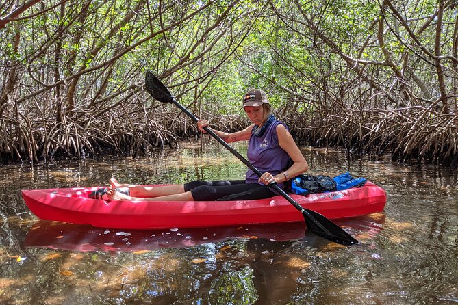 2 Hours Kayak Eco Tour in Tarpon Springs - What’s included (and what to bring) for a comfortable 2 hours