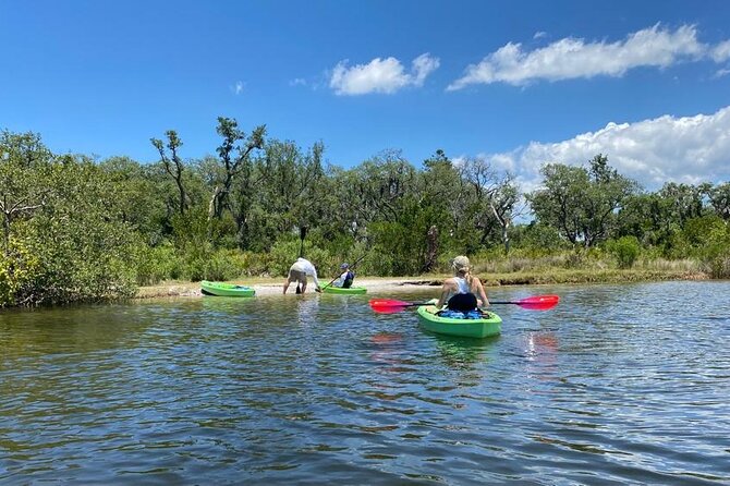 2 Hours Kayak Eco Tour in Tarpon Springs - Your route: mangroves first, sponge docks float, then back