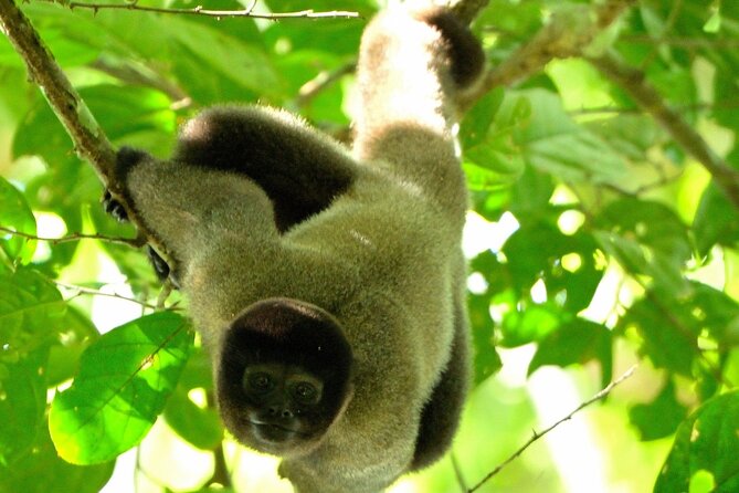 3-Day Eco-Sustainable Private Tour Manu National Park - Key Highlights You’ll Feel Immediately