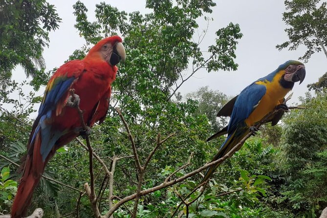 3-Day Eco-Sustainable Private Tour Manu National Park - What’s Included in the Price—and How $389 Really Adds Up