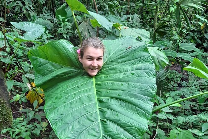 3-Day Eco-Sustainable Private Tour Manu National Park - Guides, Wildlife-Finding, and the Small Details That Improve Your Trip