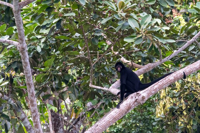 3-Day Eco-Sustainable Private Tour Manu National Park - Who Should Book This Manu Private Tour—and Who Should Think Twice