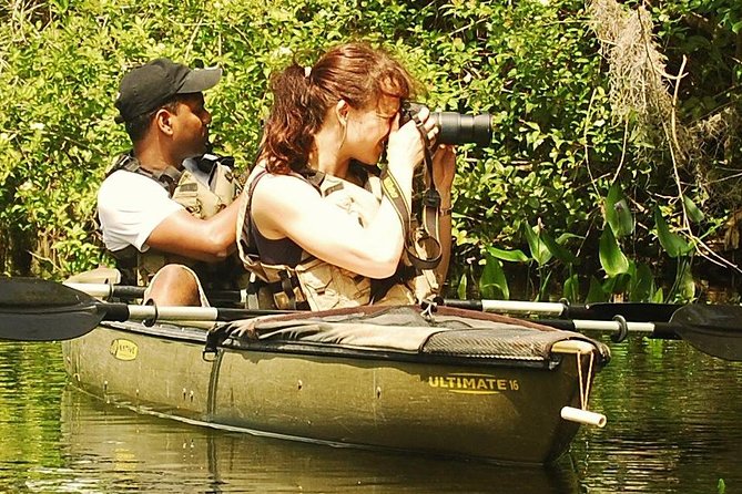 3 Hour Guided Mangrove Tunnel Kayak Eco Tour - Your 3-hour flow: lesson first, then into the narrow tunnel entryways