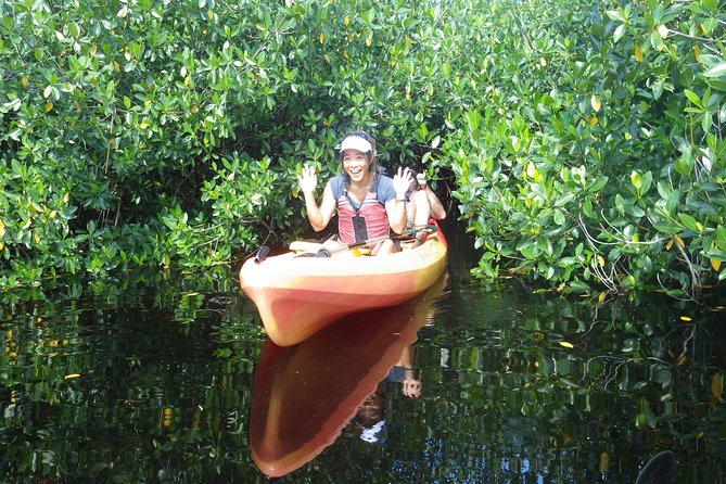 3 Hour Guided Mangrove Tunnel Kayak Eco Tour - Mangrove tunnels up close: what that overhead canopy feels like