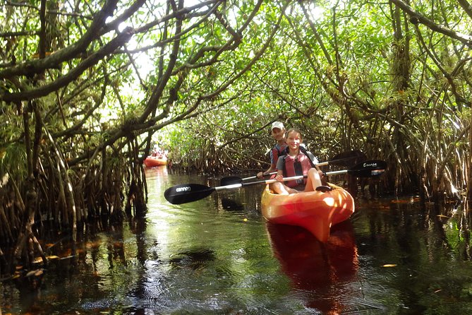 3 Hour Guided Mangrove Tunnel Kayak Eco Tour - Who the naturalist guides are: Chris, Carter, Don, and the rest of the team