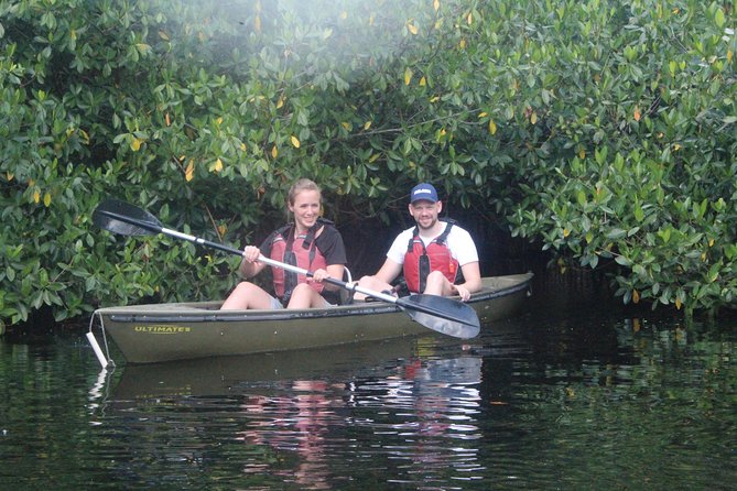 3 Hour Guided Mangrove Tunnel Kayak Eco Tour - Meeting at Everglades City: how to plan your day from Naples