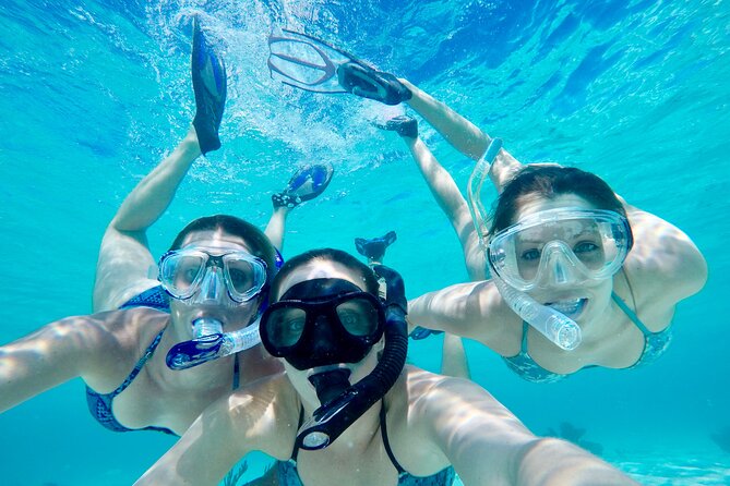 4 Hour Private Ecotour and Snorkeling Boat Tour - Key highlights at a glance