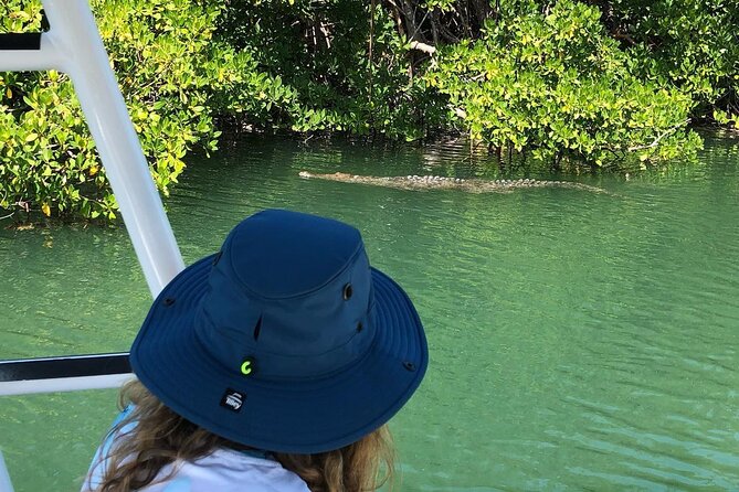 4 Hour Private Ecotour and Snorkeling Boat Tour - Islamorada Sandbar stop: a classic Keys pause in the middle