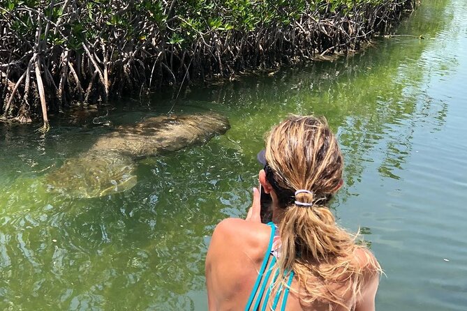 4 Hour Private Ecotour and Snorkeling Boat Tour - Florida Bay mangrove islands: where wildlife sightings get real