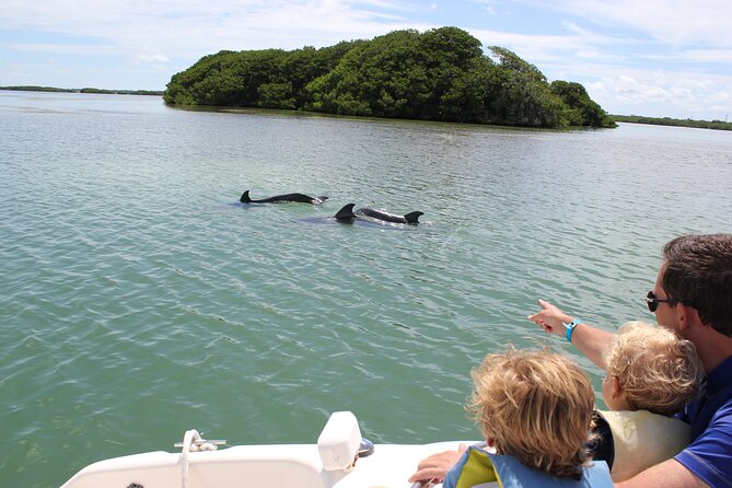4 Hour Private Ecotour and Snorkeling Boat Tour - Meeting point, timing, and the small-group setup that matters