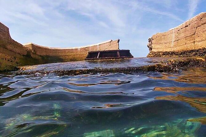 6-Hour Eco Tour in St. Petersburg from Florida - Snorkeling Gear, Snacks, and the Stuff That Makes or Breaks the Day