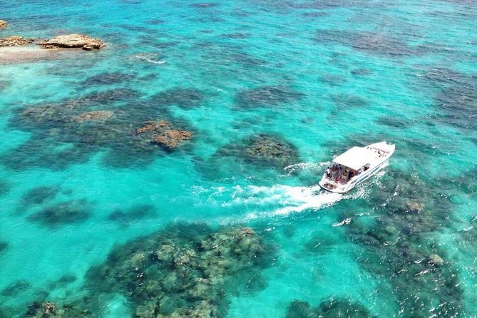 Adventure Antigua - Eli's Original Eco Tour - Long Bay (Jumby Bay area): turtle project talk that gives context