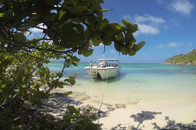 Adventure Antigua - Eli's Original Eco Tour - Snorkeling gear, skill level, and what the crew actually supports