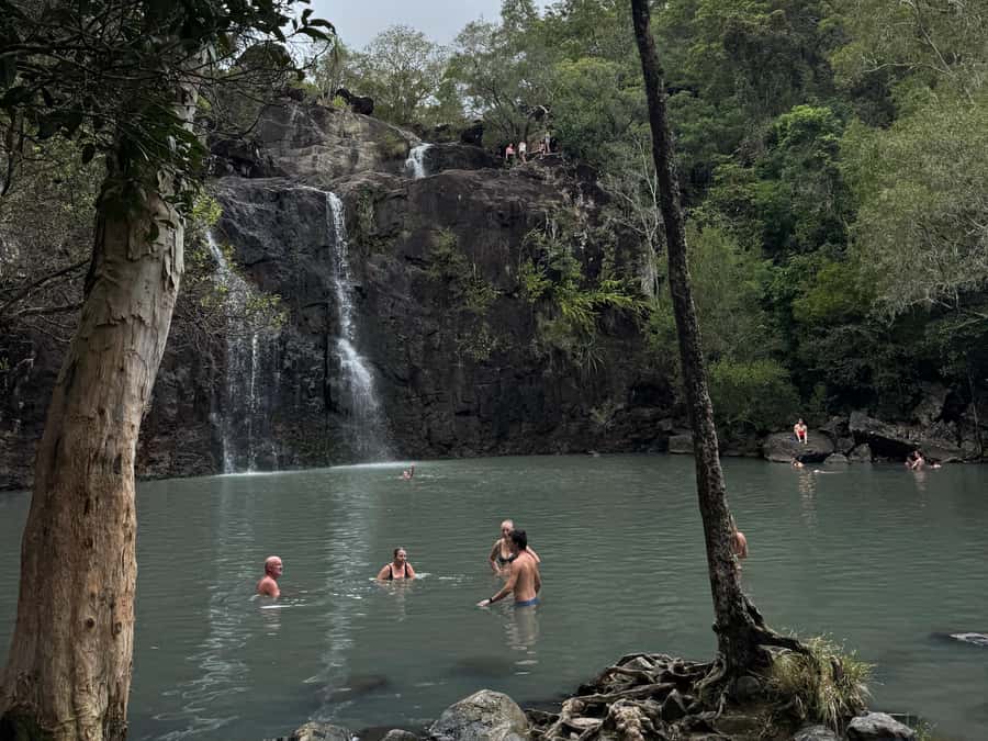Airlie Beach: Cedar Creek Express Eco Tour - Tea Time, Ice Blocks, and the Small “Comfort Wins”