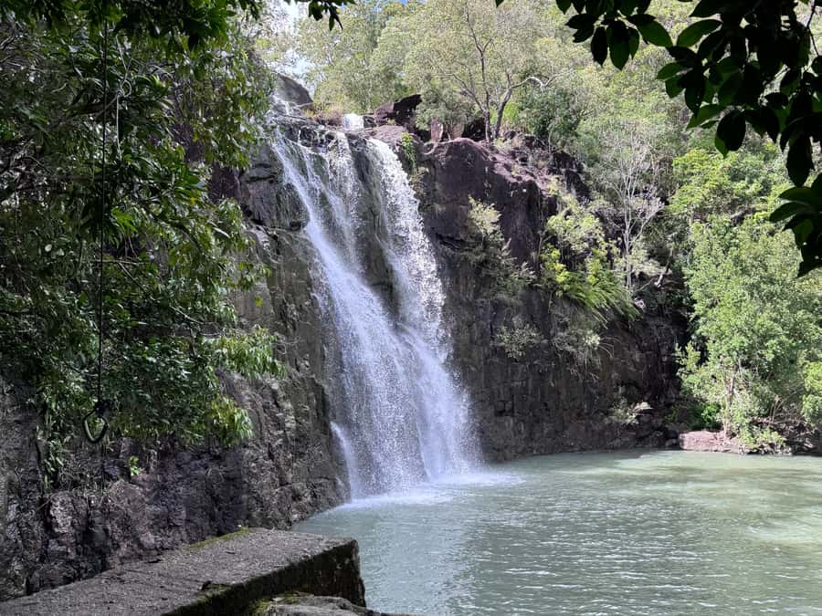 Airlie Beach: Cedar Creek Express Eco Tour - Who This Tour Fits Best (and Who Might Prefer Something Else)