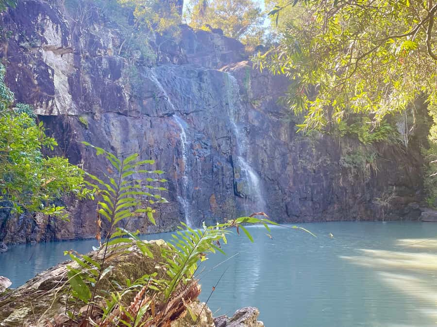 Airlie Beach: Cedar Creek Express Eco Tour - Who This Tour Fits Best (and Who Might Prefer Something Else)