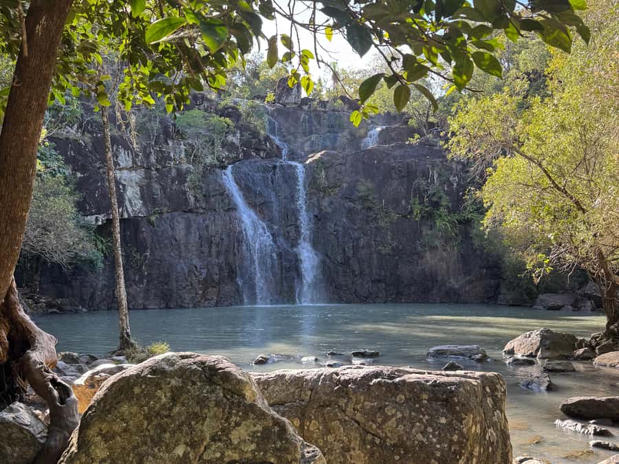 Airlie Beach: Cedar Creek Express Eco Tour - Airlie Beach to Cedar Creek: The Drive That Sets the Tone
