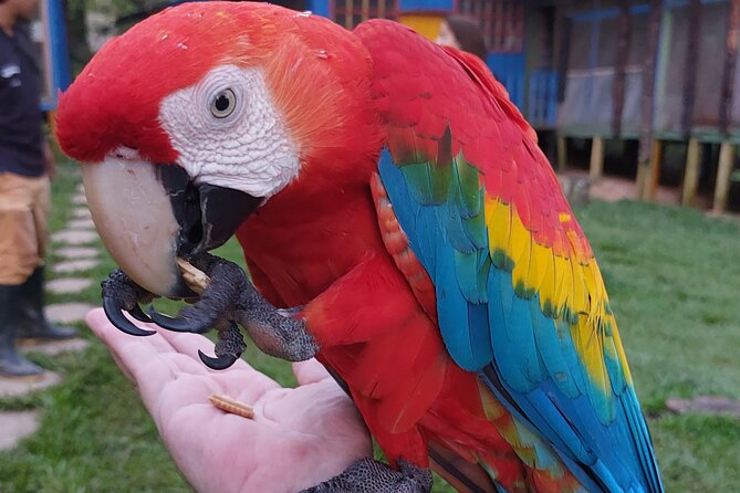 Amazon Unveiled: Private Ancestral Immersion & Conscious Luxury - Leticia to Puerto Nariño: the river sets the pace