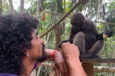 Amazon Unveiled: Private Ancestral Immersion & Conscious Luxury - Puerto Nariño mornings: mist, Wochine Reserve, and giant-water-plant moments