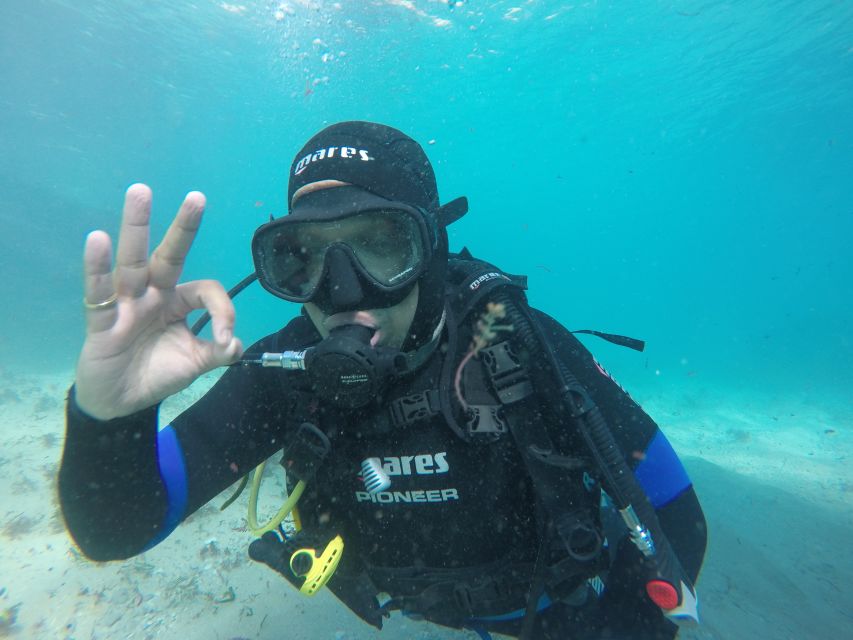 Arrábida - Sesimbra: Eco-Friendly Beginner's Scuba Diving - Arrábida Natural Park and Sesimbra: an eco-first scuba intro