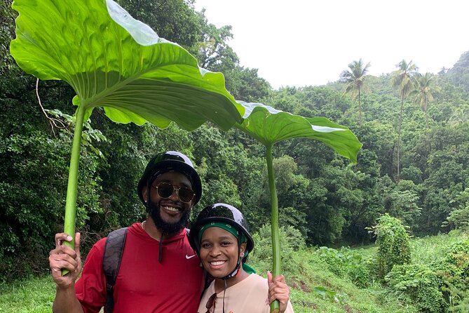 ATV Tour: Eco Friendly Scenic Bellwood Layou Rainforest - ATV Tour in Bellwood Layou: A Real Off-Road Nature Fix