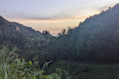 ATV Tour: Eco Friendly Scenic Bellwood Layou Rainforest - The Price: What $130 Covers (and What It Doesn’t)