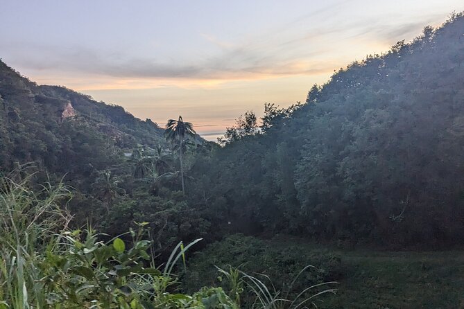 ATV Tour: Eco Friendly Scenic Bellwood Layou Rainforest - The Price: What $130 Covers (and What It Doesn’t)