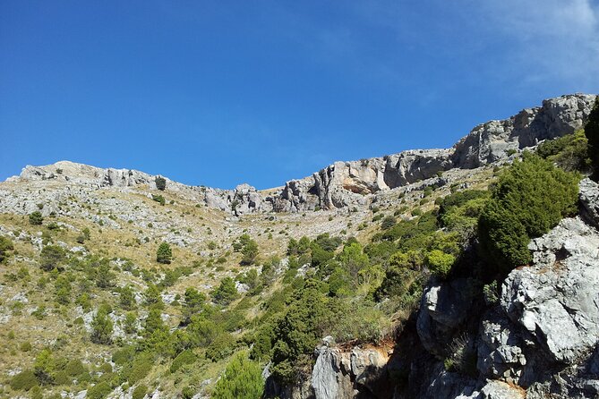 Authentic Andalusia - Jeep Eco Tour (pick up from Marbella - Estepona) - Who should book this eco jeep tour—and who might not