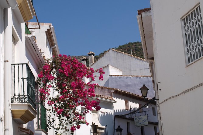 Authentic Andalusia - Jeep Eco Tour (pick up from Marbella - Estepona) - Should you book the Authentic Andalusia Jeep Eco Tour from Marbella?