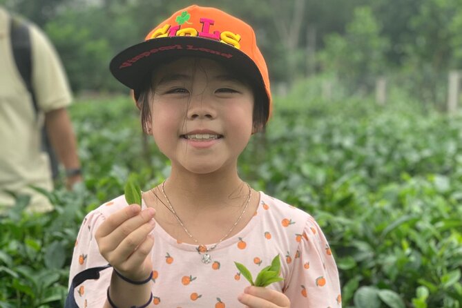 Bavi Eco Tour: Immerse in Authentic Village Life Outside Hanoi - Who should book this Ba Vi eco day trip (and who might not love it)